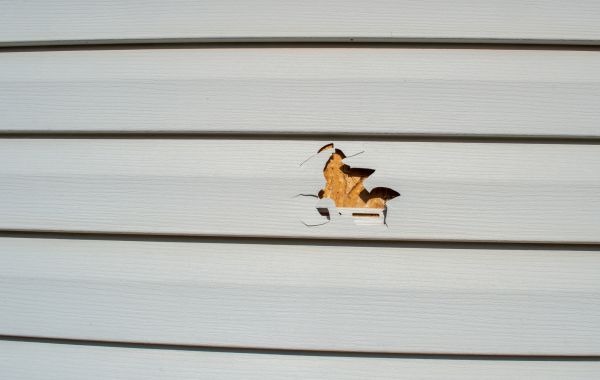 Cost of Siding Hole Repair in Auburn